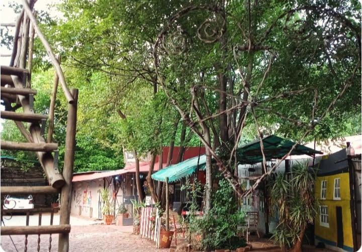 Hotel Paljas Backpackers Potchefstroom Zewnętrze zdjęcie